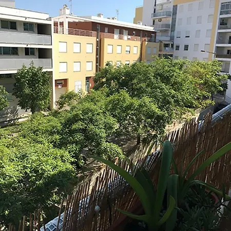 Praia Da Rocha Oceano Indico 波尔蒂芒